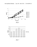 MICROBIAL SYSTEMS FOR PRODUCING COMMODITY CHEMICALS diagram and image