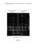 Construction of Protrophic/Celluloytic Yeast Strains Expressing Tethered     and Secreted Cellulases diagram and image