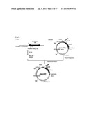 TRANSFECTION VECTOR diagram and image