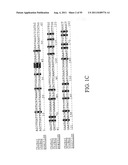 PLANT CENTROMERE COMPOSITIONS diagram and image