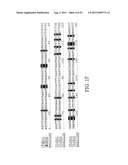 PLANT CENTROMERE COMPOSITIONS diagram and image