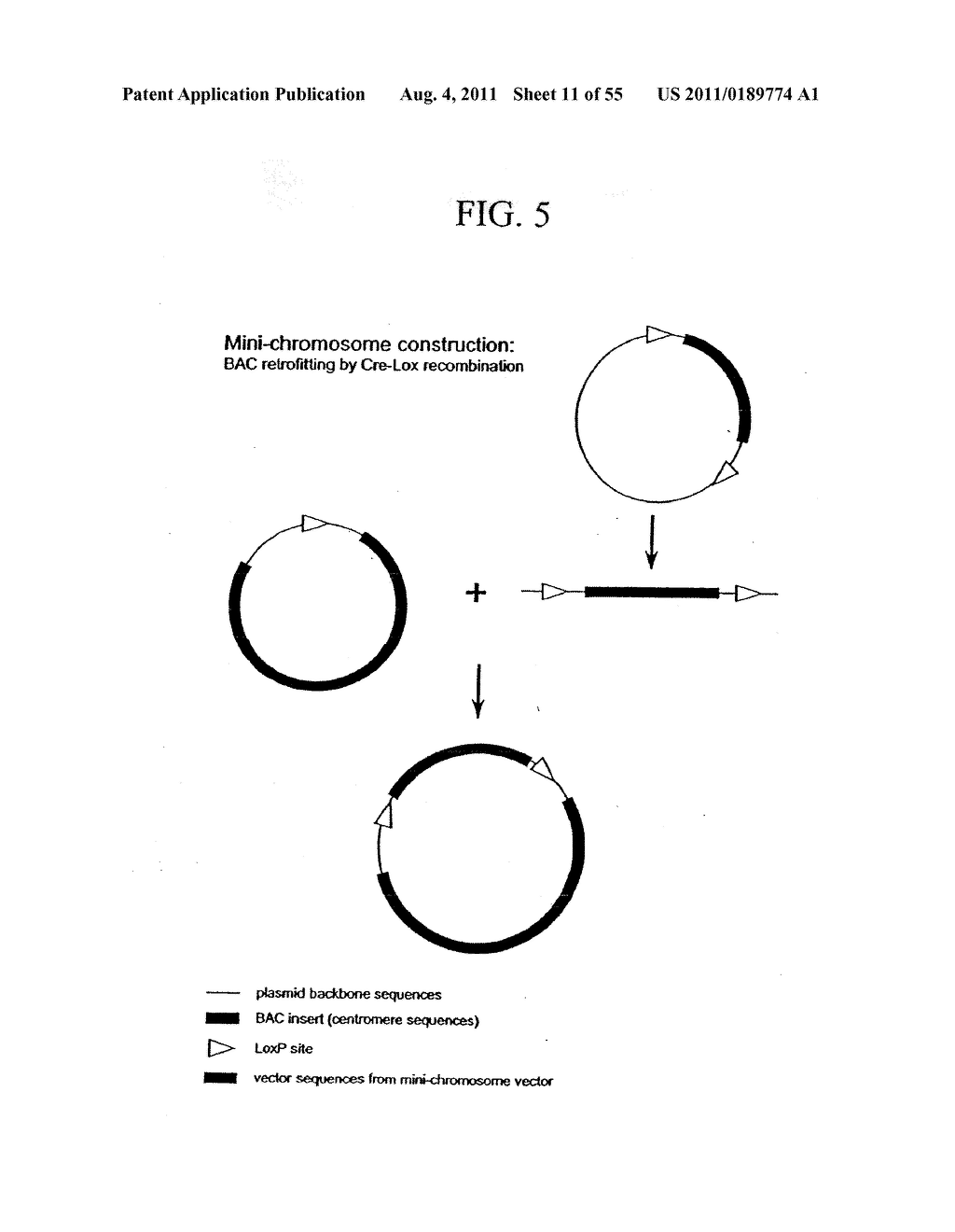 PLANT CENTROMERE COMPOSITIONS - diagram, schematic, and image 12