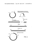 PLANT CENTROMERE COMPOSITIONS diagram and image