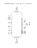 PLANT CENTROMERE COMPOSITIONS diagram and image