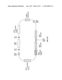 PLANT CENTROMERE COMPOSITIONS diagram and image