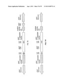 PLANT CENTROMERE COMPOSITIONS diagram and image