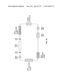 PLANT CENTROMERE COMPOSITIONS diagram and image