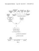 PLANT CENTROMERE COMPOSITIONS diagram and image