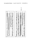 PLANT CENTROMERE COMPOSITIONS diagram and image