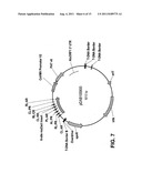 Targeted genomic alteration diagram and image