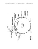 Targeted genomic alteration diagram and image