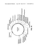 Targeted genomic alteration diagram and image