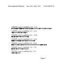 PROKARYOTIC RNAi-LIKE SYSTEM AND METHODS OF USE diagram and image