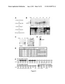 PROKARYOTIC RNAi-LIKE SYSTEM AND METHODS OF USE diagram and image