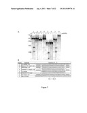 PROKARYOTIC RNAi-LIKE SYSTEM AND METHODS OF USE diagram and image