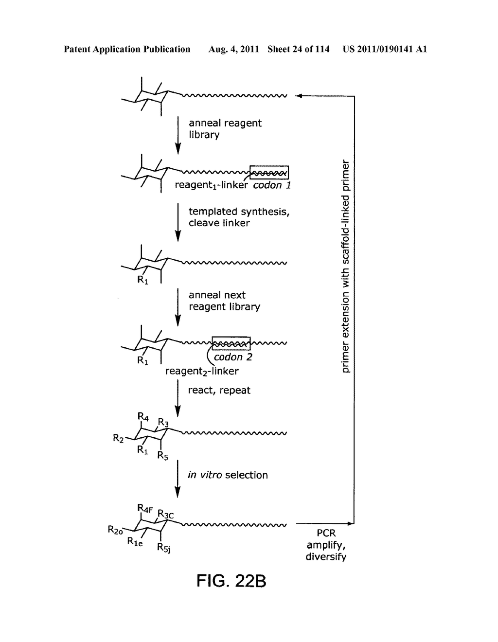 Evolving New Molecular Function - diagram, schematic, and image 25