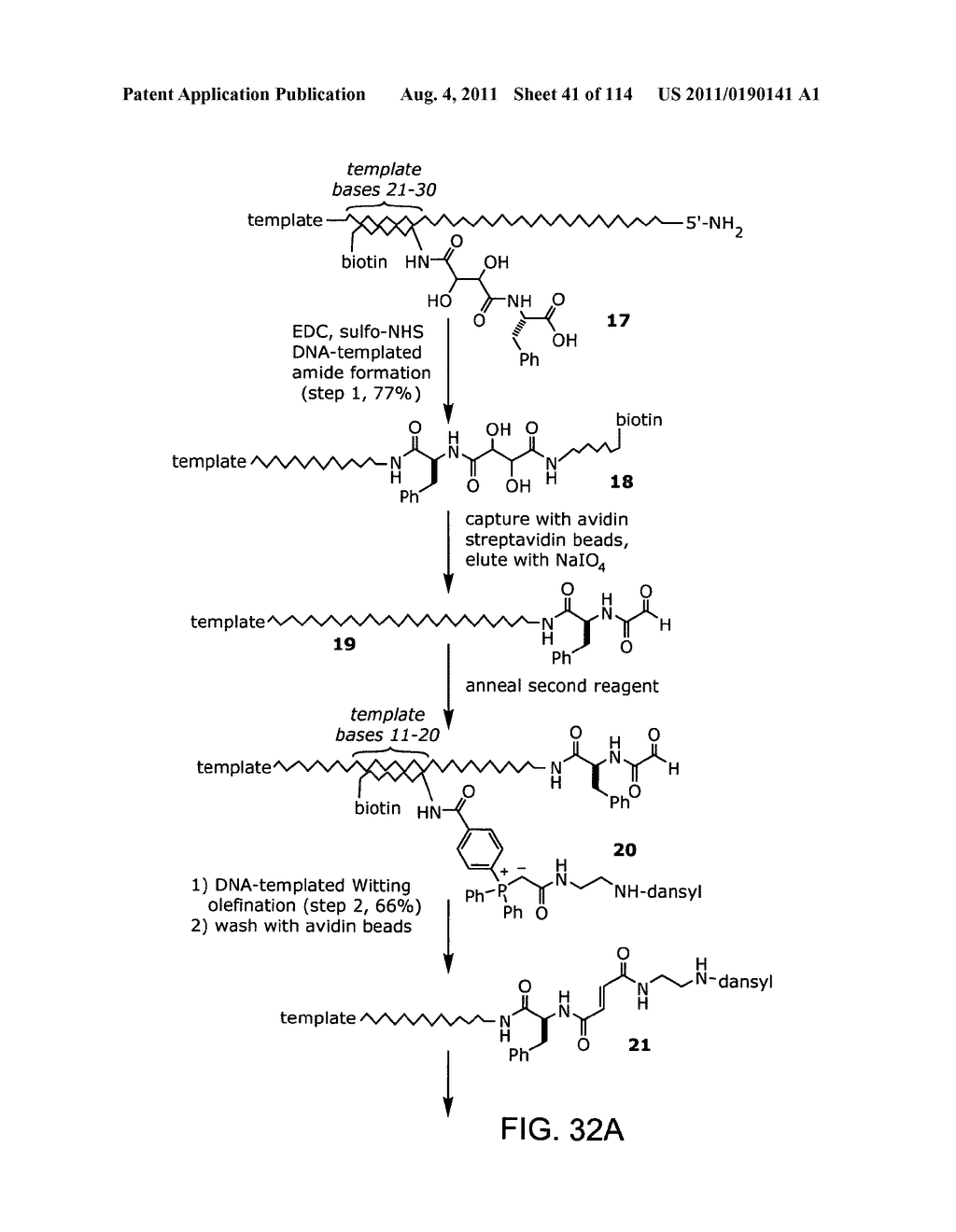 Evolving New Molecular Function - diagram, schematic, and image 42