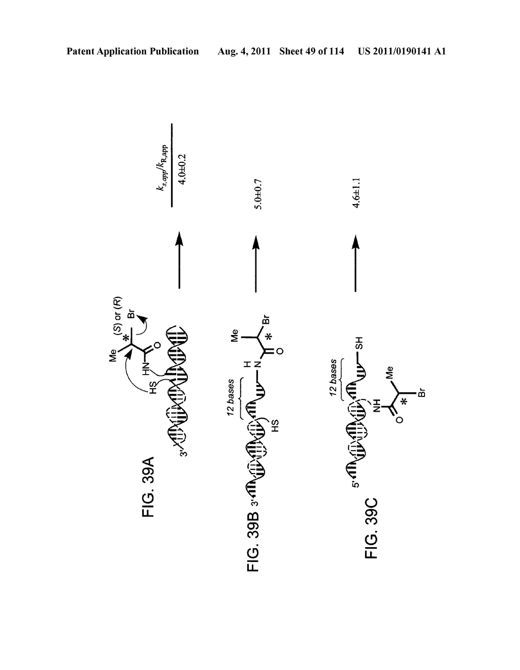 Evolving New Molecular Function - diagram, schematic, and image 50