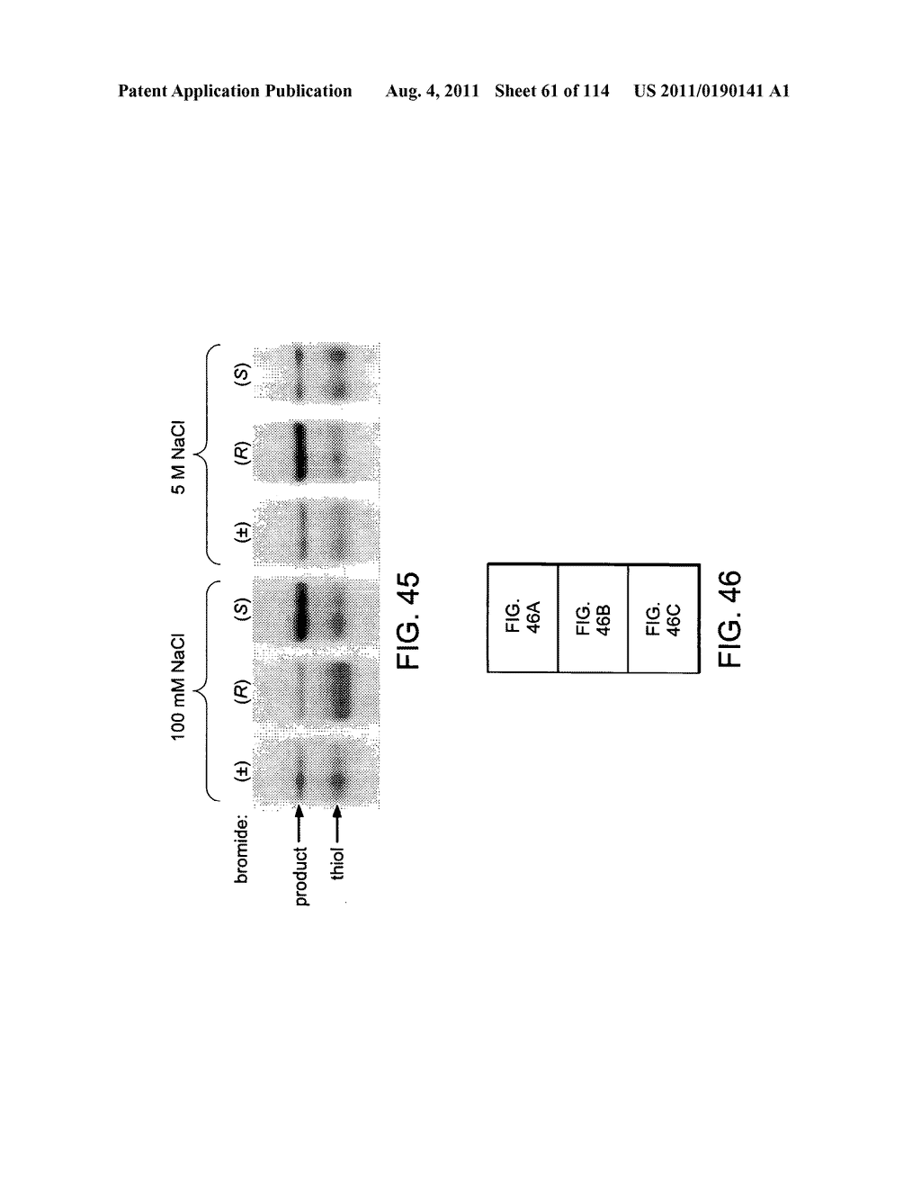 Evolving New Molecular Function - diagram, schematic, and image 62