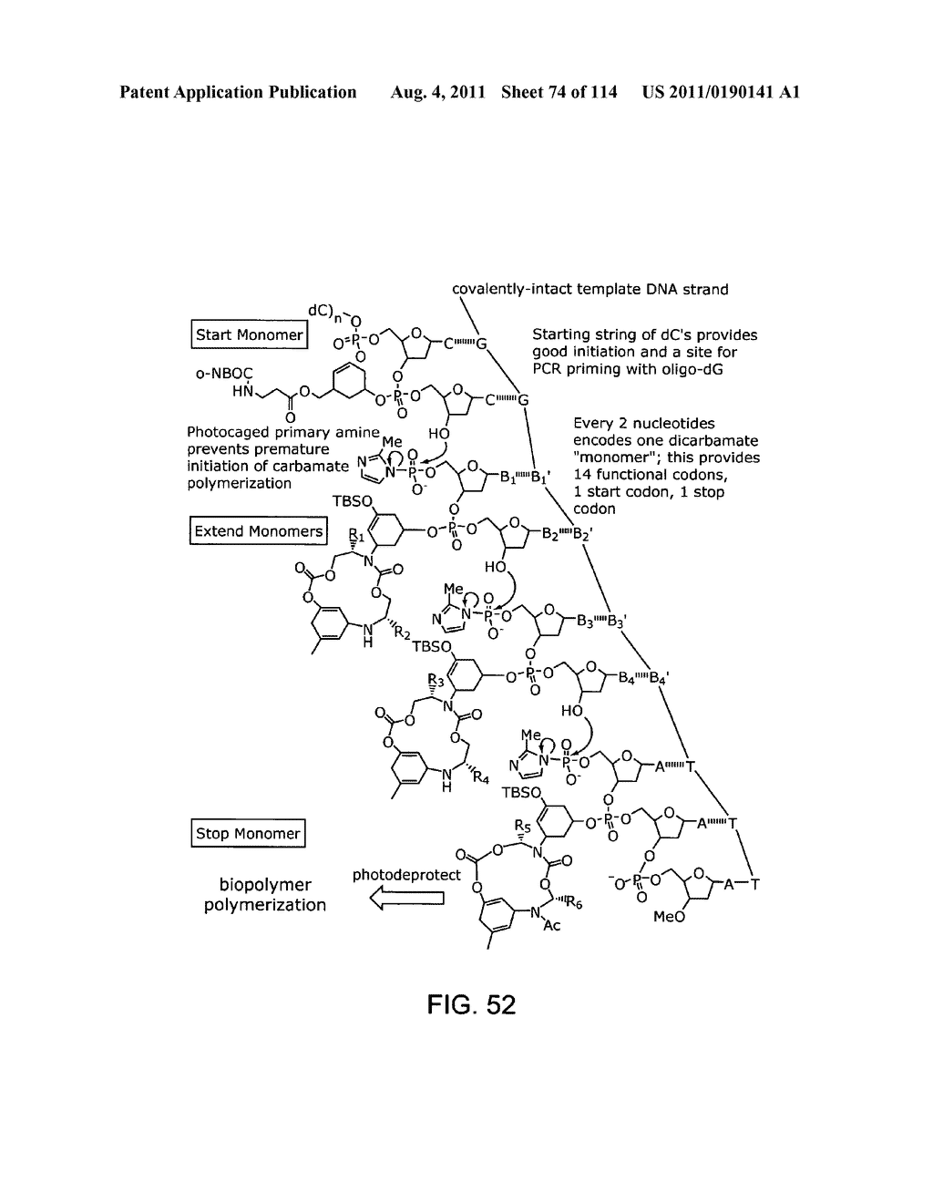 Evolving New Molecular Function - diagram, schematic, and image 75