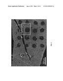 IN SITU ANALYSIS OF TISSUES diagram and image