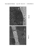 IN SITU ANALYSIS OF TISSUES diagram and image