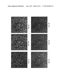 IN SITU ANALYSIS OF TISSUES diagram and image