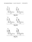 MULTI-CHAIN EUKARYOTIC DISPLAY VECTORS AND USES THEREOF diagram and image