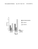 MULTI-CHAIN EUKARYOTIC DISPLAY VECTORS AND USES THEREOF diagram and image