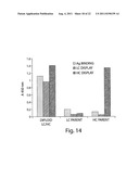 MULTI-CHAIN EUKARYOTIC DISPLAY VECTORS AND USES THEREOF diagram and image