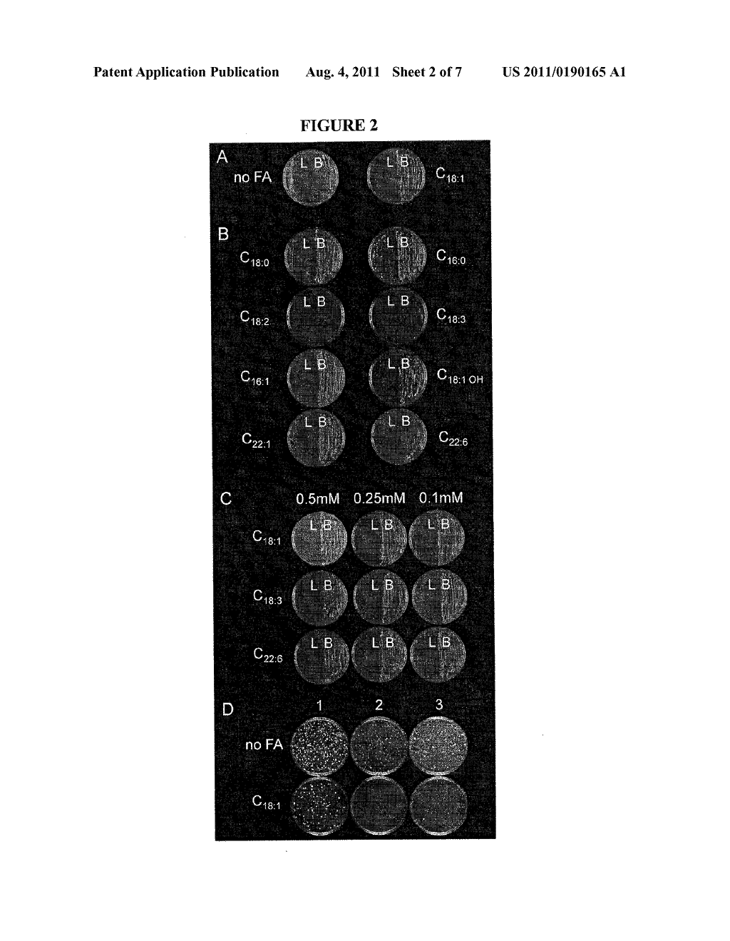 HIGH THROUGHPUT METHODS OF IDENTIFYING NEUTRAL LIPID SYNTHASES - diagram, schematic, and image 03