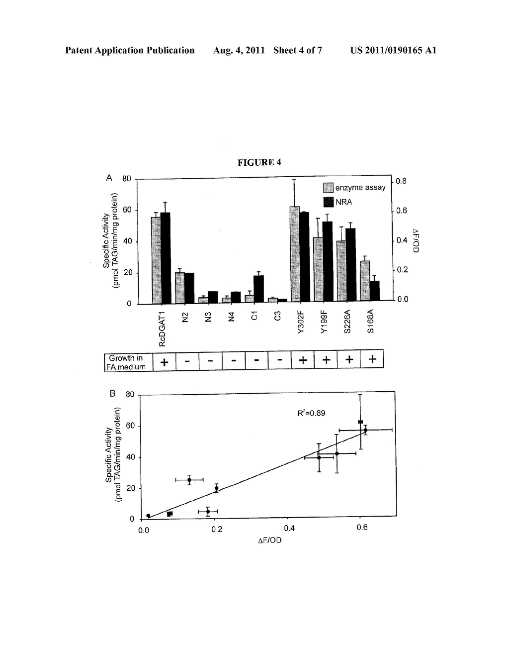 HIGH THROUGHPUT METHODS OF IDENTIFYING NEUTRAL LIPID SYNTHASES - diagram, schematic, and image 05