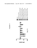 GLUCAGON ANALOGS EXHIBITING ENHANCED SOLUBILITY AND STABILITY IN     PHYSIOLOGICAL pH BUFFERS diagram and image