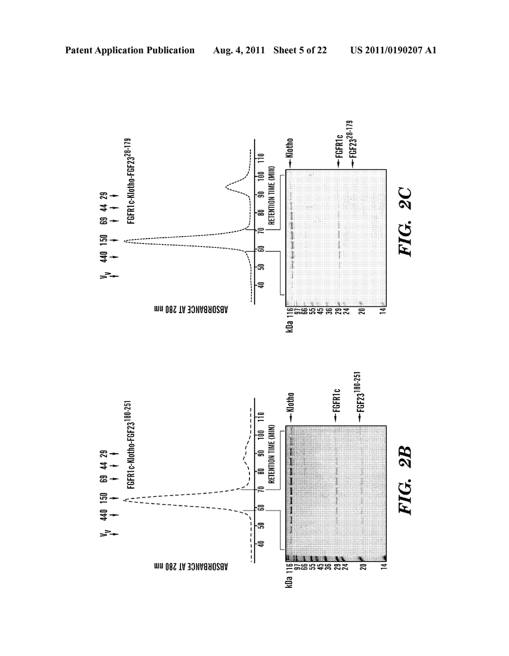 INHIBITING BINDING OF FGF23 TO THE BINARY FGFR-KLOTHO COMPLEX FOR THE     TREATMENT OF HYPOPHOSPHATEMIA - diagram, schematic, and image 06