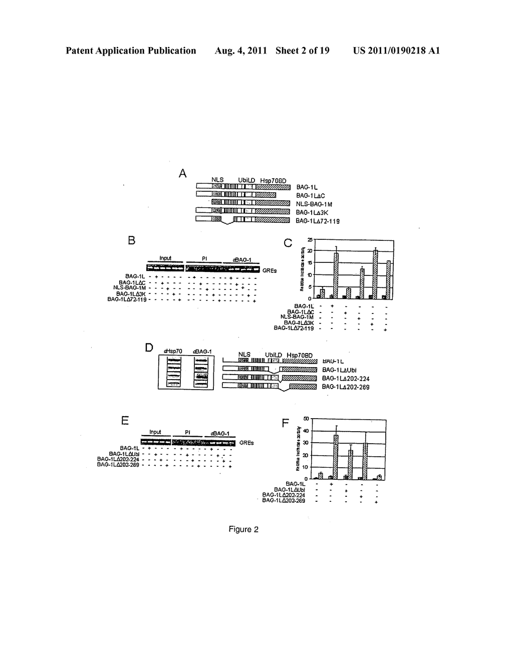 BAG-1 PEPTIDE THAT INHIBITS PROSTATE CANCER - diagram, schematic, and image 03