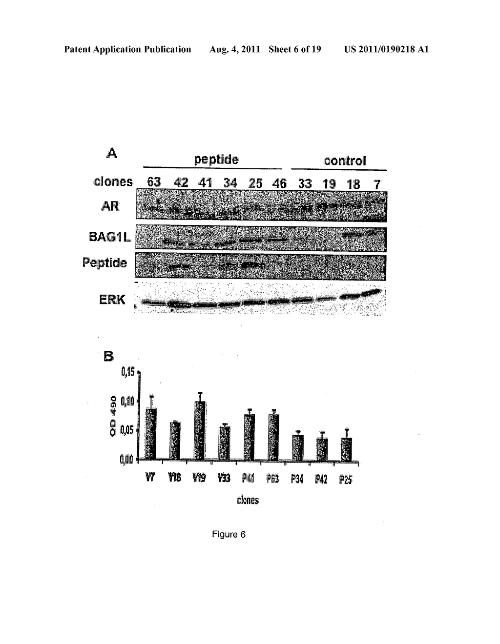 BAG-1 PEPTIDE THAT INHIBITS PROSTATE CANCER - diagram, schematic, and image 07