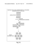 MODIFICATIONS OF SOLID 3-SN-PHOSPHOGLYCERIDES diagram and image