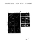 METHODS OF TREATING THROMBOEMBOLIC DISORDERS diagram and image