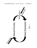 PHOSPHODIESESTERASE 4 INHIBITORS FOR THE TREATMENT OF A COGNITIVE DEFICIT diagram and image