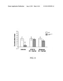 PHOSPHODIESESTERASE 4 INHIBITORS FOR THE TREATMENT OF A COGNITIVE DEFICIT diagram and image