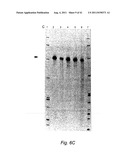 GENETIC SUPPRESSION AND REPLACEMENT diagram and image