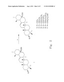 URSOLIC ACID DERIVATIVE AND PHARMACEUTICAL COMPOSITION THEREOF diagram and image