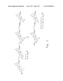 URSOLIC ACID DERIVATIVE AND PHARMACEUTICAL COMPOSITION THEREOF diagram and image