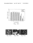 URSOLIC ACID DERIVATIVE AND PHARMACEUTICAL COMPOSITION THEREOF diagram and image