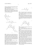 N-BUTYRAMIDE, THE PREPARATION METHOD AND USE THEREOF diagram and image