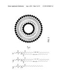 THERMALLY-ACTIVATABLE LIPOSOME COMPOSITIONS AND METHODS FOR IMAGING,     DIAGNOSIS AND THERAPY diagram and image