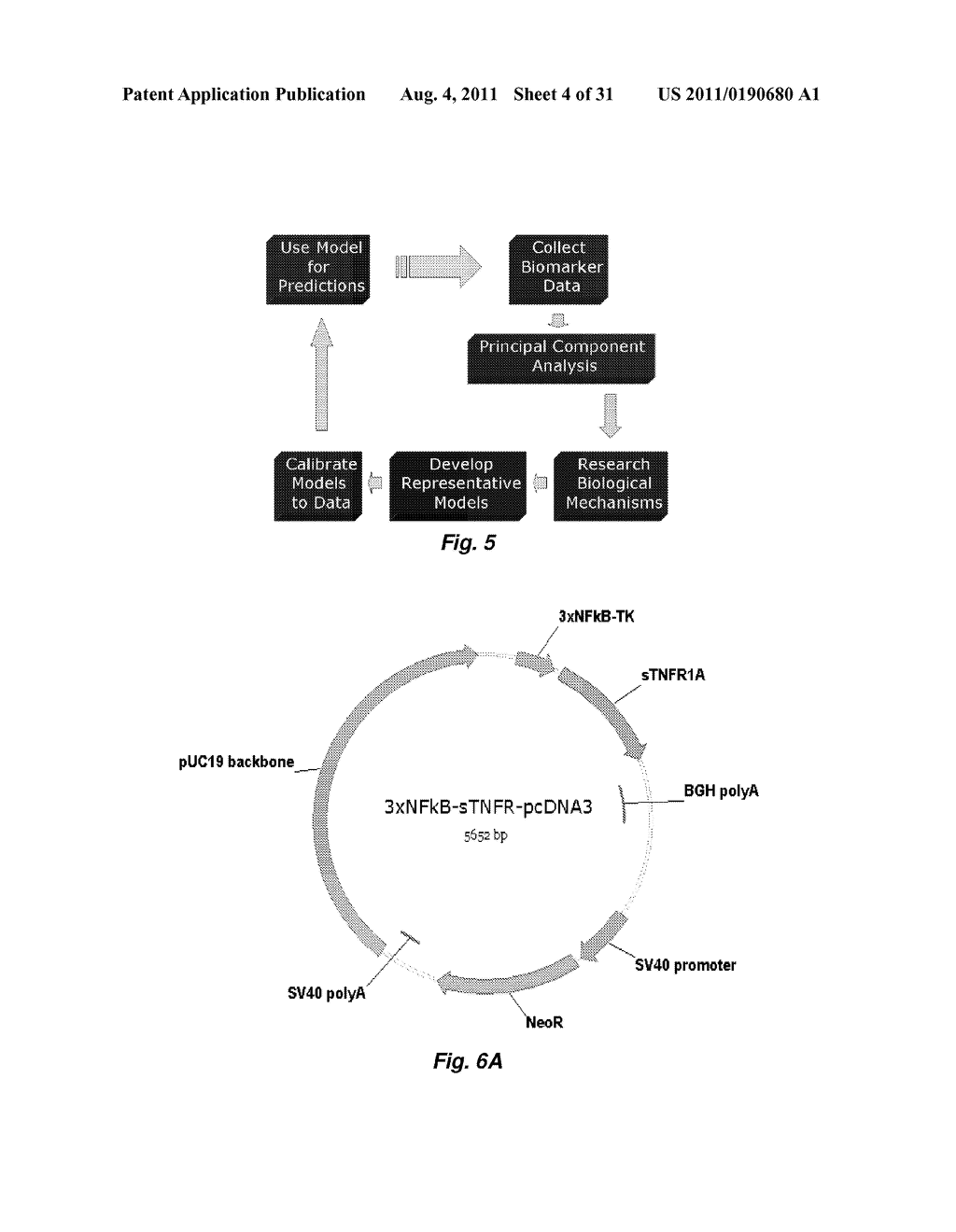 Self-Regulating Device for Modulating Inflammation - diagram, schematic, and image 05