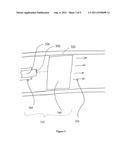 Method and Apparatus for Delivering an Agent to a Kidney diagram and image