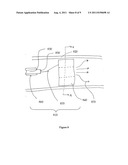 Method and Apparatus for Delivering an Agent to a Kidney diagram and image