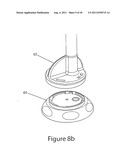 Systems And Methods For Removing Ingested Material From A Stomach diagram and image